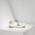 Men/Women Golden Goose superstar in white wasabi sneaker